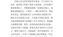 令我童年难忘的事_300字
