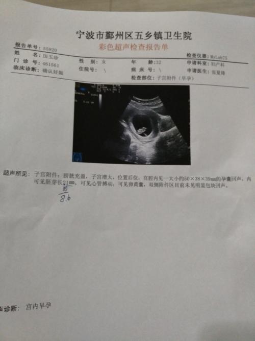 更多伟大的母亲_1200字