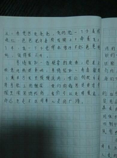 图中的组成：小庭院的三张照片_450字