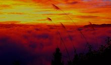 我们是初升的太阳_700字