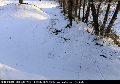 美丽的冬天雪_350字