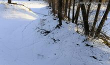 美丽的冬雪_350字