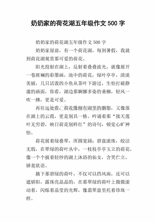 奶奶组成：奶奶肖像_500字