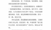 关于奶奶的作文：奶奶画像记_500字