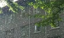 2009年初三全区期末统考优秀作文（二）：飞絮漫天的季节_900字