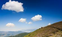 那些风吹过的痕迹_250字