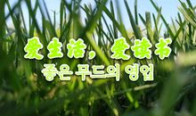 别放弃向往_1200字