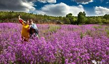 家乡一幅美丽的画卷_400字