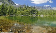 小溪河流大海_600字