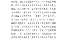 读书的人生_400字