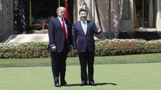在美国_550字