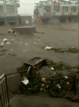 Typhoons上的组成：超级台风“天吉”_450字