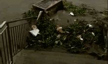 关于台风的作文：超强台风“天鸽”_450字