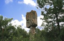 游览顶级山_200字