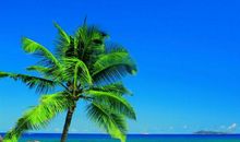 世界的美丽_500字