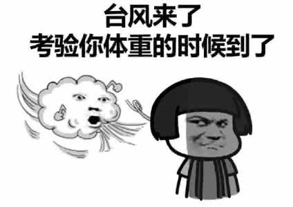 Typhoons上的组成：Typhoon_300字