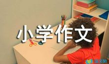 丽莎和李华少_900字