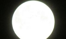 今年十五月最圆_150字