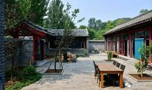 我家的小院_450字