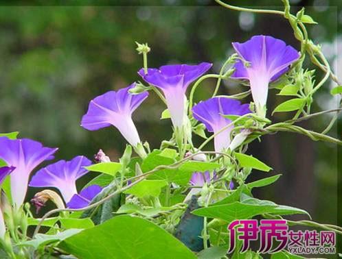 与命运的构图：交付两个空格_900字