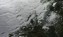 唉，又一个雨天_650字