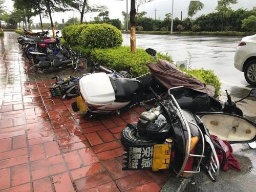 Typhoons上的组成：“风暴”的增长_650字