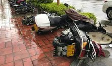 关于台风的作文：“风雨”里的成长_650字