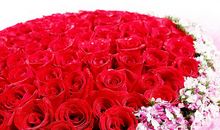 班级晚会·花开两朵_800字