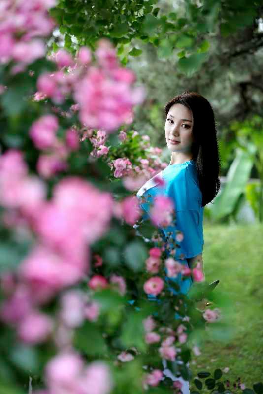 樱花舞（锲子）_300字