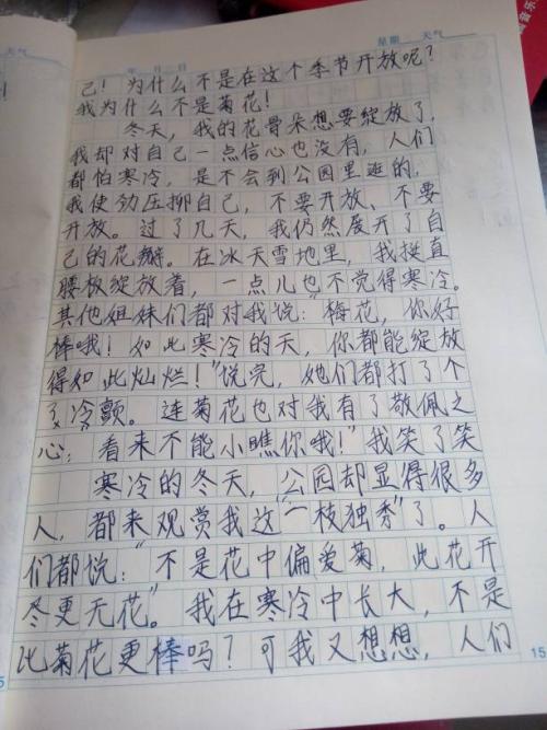 2009年第三阶段第三阶段结束第三集（3）：梅花季节_800字