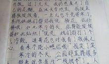 2009年区初三期末考试优秀作文（三）：梅花盛开的季节_800字