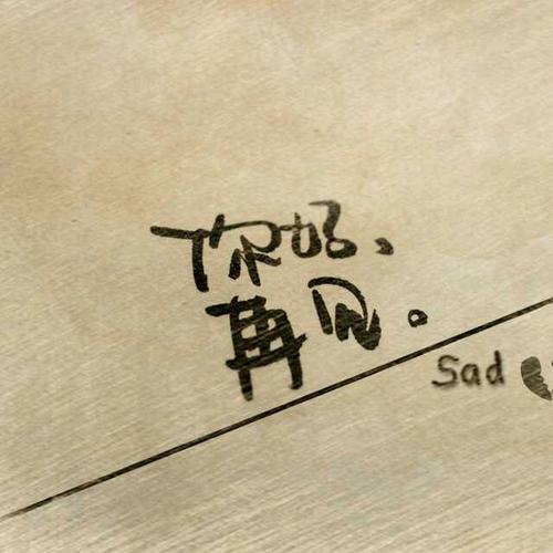 不再返回_1000字