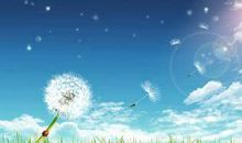 关于命运的作文：勇气征服命运_800字