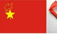 我的心，流淌着你的血_650字