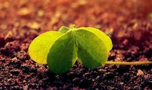 关于命运的作文：孩子的命运_250字