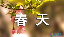 只可以学习吗？_400字