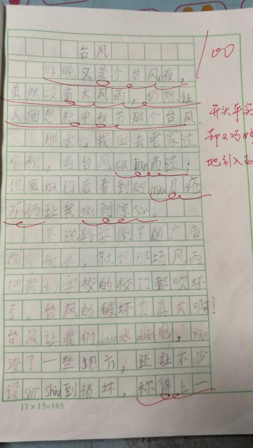 Typhoons上的组成：台风来_300字