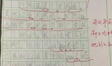 关于台风的作文：台风降临_300字