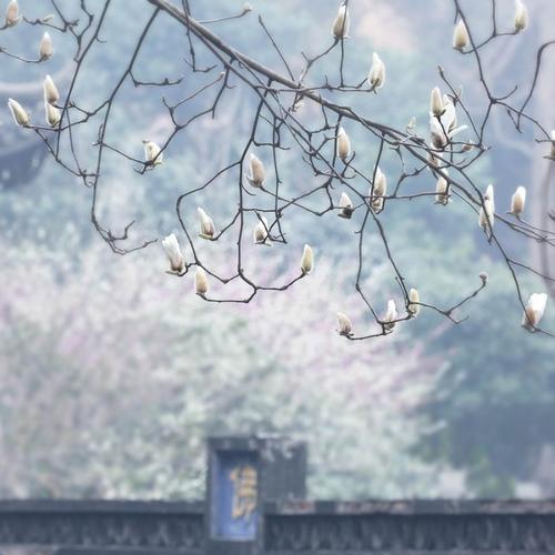 尘土世界_700字