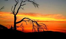 迷失在夕阳底下的世界_1500字