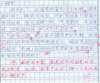 初级成分：秋叶_750字