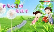 2013年植树节活动方案_1500字