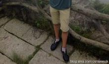 你看到了吗？生命的曙光_1000字