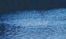 生活的美景_700字