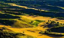 初一期末考试作文：美丽的田园风光（三）_550字