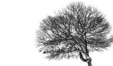 我追星，我快乐_300字