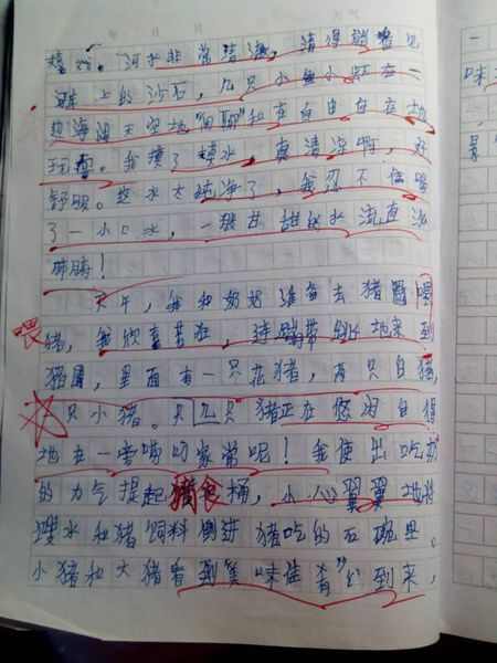 第一阶段的测试结束：漂亮的田园诗般的风景_450字