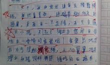 初一期末考试作文：美丽的田园风光_450字