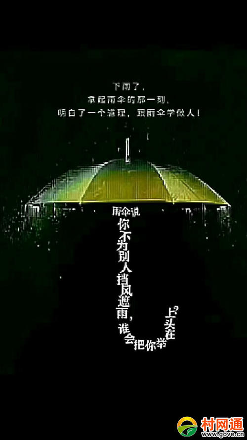 谁的伞是你的_800字