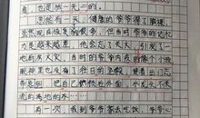 倔强：我们的标签_400字